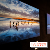 Reflets de la nature, nos photos de l'exposition