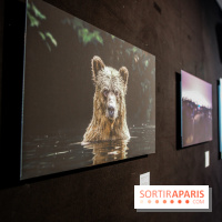 Reflets de la nature, nos photos de l'exposition