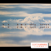 Reflets de la nature, nos photos de l'exposition