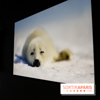 Reflets de la nature, nos photos de l'exposition