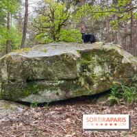 Dolmen de la Pierre Ardoue - IMG 0983