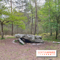 Dolmen de la Pierre Ardoue - IMG 0988