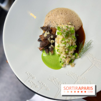 Auguste - Turbot, petits pois, tourteau