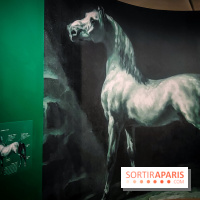 Les chevaux de Géricault : l'exposition hommage au peintre se dévoile au musée de la Vie Romantique - IMG20240514095313