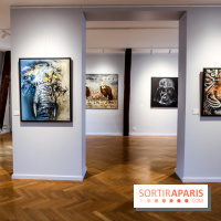 Le Décryptage de l’art de rue, nos photos de l'expo