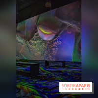 Artificial Dreams - DSC 0041