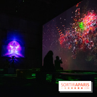 Artificial Dreams - DSC 0052