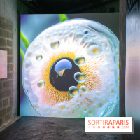 Artificial Dreams - DSC 0091