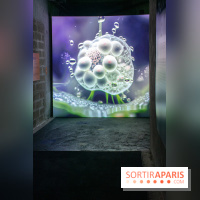 Artificial Dreams - DSC 0092