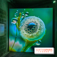 Artificial Dreams - DSC 0094