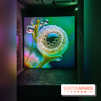 Artificial Dreams - DSC 0095