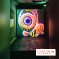 Artificial Dreams - DSC 0096