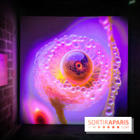 Artificial Dreams - DSC 0097