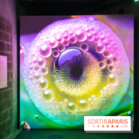 Artificial Dreams - DSC 0098