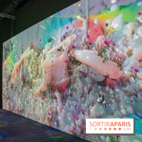 Artificial Dreams - DSC 0129