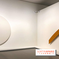 Formes et couleurs, l'exposition hommage à Ellsworth Kelly à la Fondation Louis Vuitton