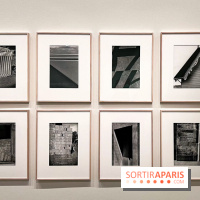 Formes et couleurs, l'exposition hommage à Ellsworth Kelly à la Fondation Louis Vuitton - image00041