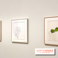 Formes et couleurs, l'exposition hommage à Ellsworth Kelly à la Fondation Louis Vuitton - image00043