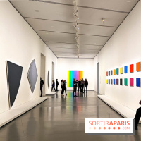 Formes et couleurs, l'exposition hommage à Ellsworth Kelly à la Fondation Louis Vuitton - image00052