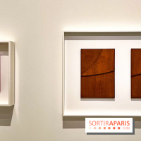 Formes et couleurs, l'exposition hommage à Ellsworth Kelly à la Fondation Louis Vuitton - image00072