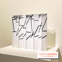 Formes et couleurs, l'exposition hommage à Ellsworth Kelly à la Fondation Louis Vuitton - image00075