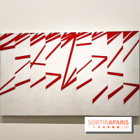 Formes et couleurs, l'exposition hommage à Ellsworth Kelly à la Fondation Louis Vuitton - image00076