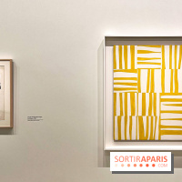 Formes et couleurs, l'exposition hommage à Ellsworth Kelly à la Fondation Louis Vuitton - image00078