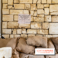 Exposition Monuments Men au Château de la Roche-Guyon - les photos -  A7C3952