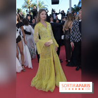 ©Rachid Bellak - Cannes 2024 : Tapis Rouge - Le Comte de Monte-Cristo - BEL 6428