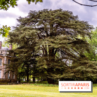 La Fondation Coubertin et son Domaine -  A7C2843