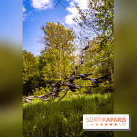 La Fondation Coubertin et son Domaine -  A7C2888