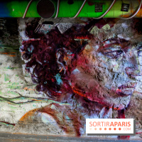 L'équipée de retour avec une seconde édition, nos photos - IMG 5157