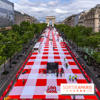 Grand pique nique des Champs-Élysées - photos  -  A7C4705