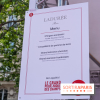 Grand pique nique des Champs-Élysées - photos