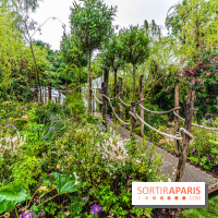 Jardins jardin 2024 à la Villa Windsor au Bois de Boulogne  -  A7C4924