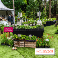 Jardins jardin 2024 à la Villa Windsor au Bois de Boulogne  -  A7C4937