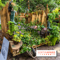 Jardins jardin 2024 à la Villa Windsor au Bois de Boulogne  -  A7C4962