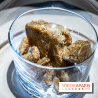 Jardins jardin 2024 à la Villa Windsor au Bois de Boulogne  -  A7C5031