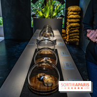 Jardins jardin 2024 à la Villa Windsor au Bois de Boulogne  -  A7C5030