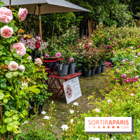 Jardins jardin 2024 à la Villa Windsor au Bois de Boulogne  -  A7C5041