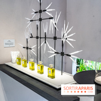 Jardins jardin 2024 à la Villa Windsor au Bois de Boulogne  -  A7C5034