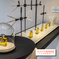 Jardins jardin 2024 à la Villa Windsor au Bois de Boulogne  -  A7C5036