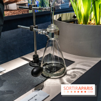 Jardins jardin 2024 à la Villa Windsor au Bois de Boulogne  -  A7C5033