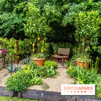 Jardins jardin 2024 à la Villa Windsor au Bois de Boulogne  -  A7C5055