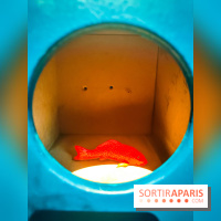 Oh my Gods, l'exposition de Wenna qui nous plonge dans des mondes merveilleux au musée en Herbe - IMG20240605114753