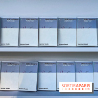 Miu-Miu distribue des livres et des glaces gratuites sur les quais parisiens ! - image00022