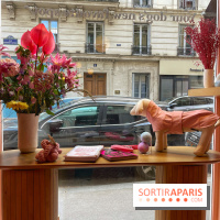 Casa del Doggo - IMG 1621