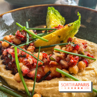 Le chalet des Îles 2024 - nos photos  - image00009