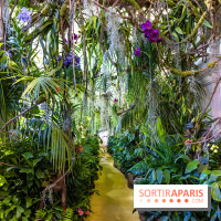 Exposition Paris à l'Hôtel de Ville - les Photos