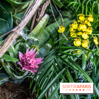 Exposition Paris à l'Hôtel de Ville - les Photos